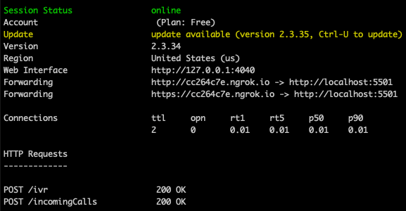 The terminal print out of the IVR call data